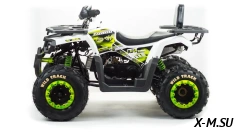 Квадроцикл PROMAX WILD 300 LUX (2024)