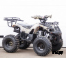 Квадроцикл STALKER 200